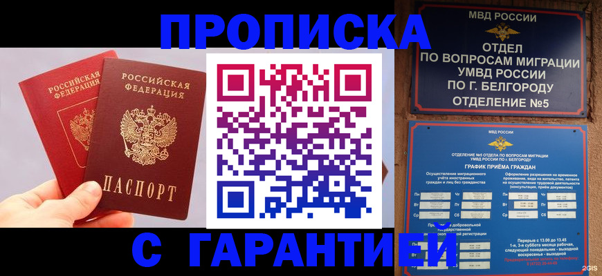 прописка 2025 в Гатчине